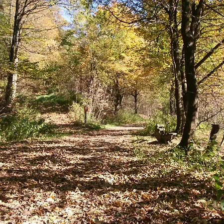 Gnacke Apartamento Schmallenberg