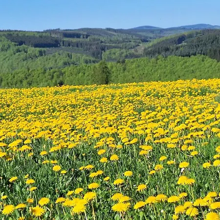 Gnacke Apartment Schmallenberg
