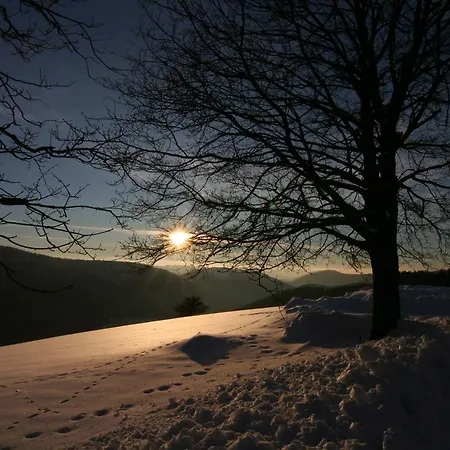 Gnacke Apartamento *