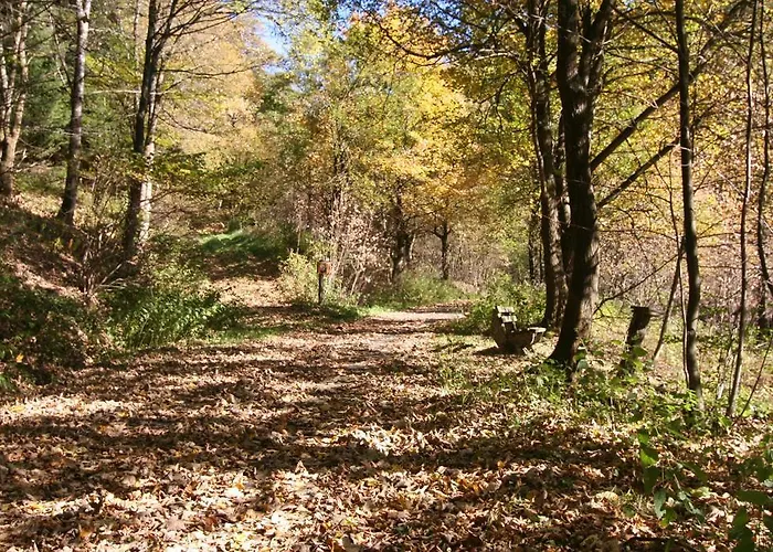 Gnacke Apartment Schmallenberg