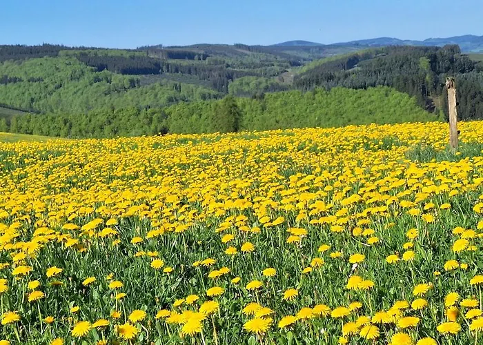 Gnacke Apartment Schmallenberg